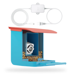 Bird Feeder Plug-in Cam v4 Bundle