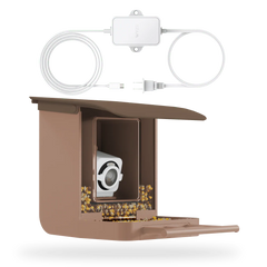 Bird Feeder Plug-in Cam v4 Bundle