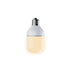 Wyze Accessory Bulb