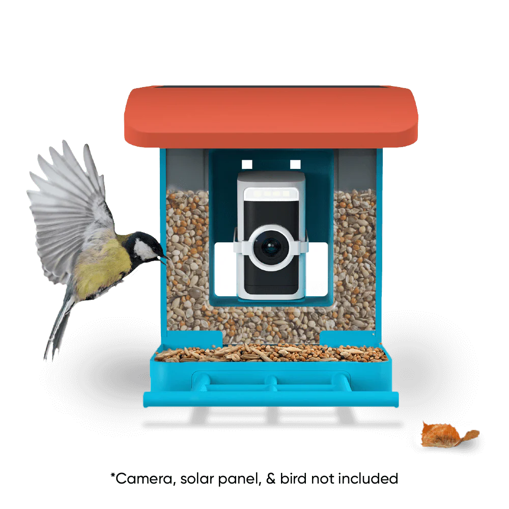 Wyze Bird Feeder