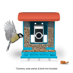 Wyze Bird Feeder